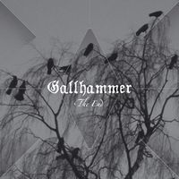Chronique GALLHAMMER - The end